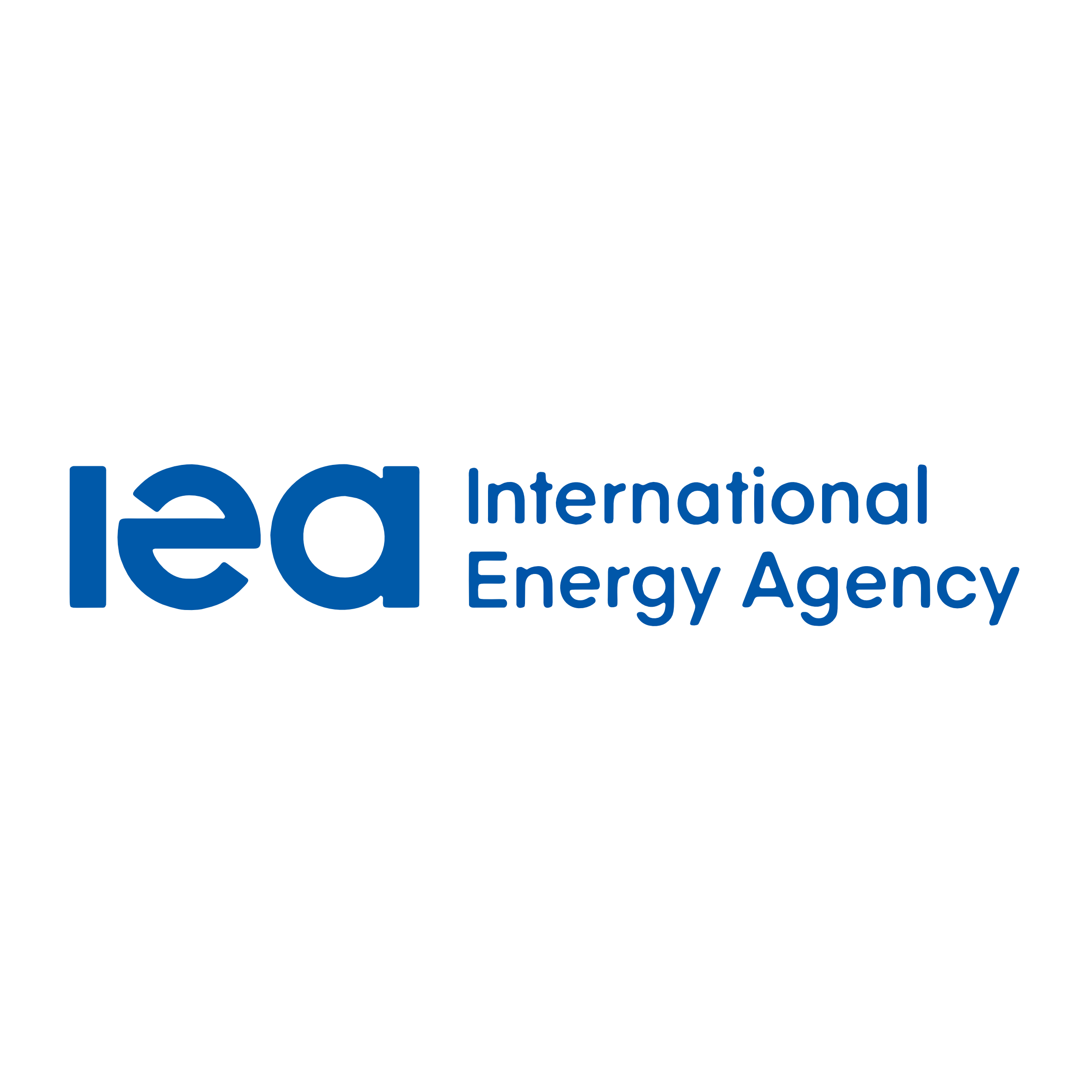 International Energy Agency